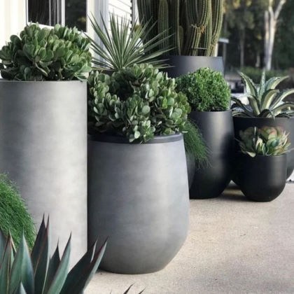 Κασπώ γλάστρες