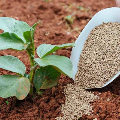 Βιολογικά λιπάσματα